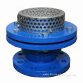 Foot Valve, Cast Iron, Flanged, PN16, Competitive Price, DN40-DN350